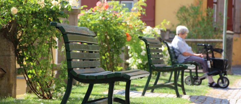 Bild von H. Hach auf Pixabay